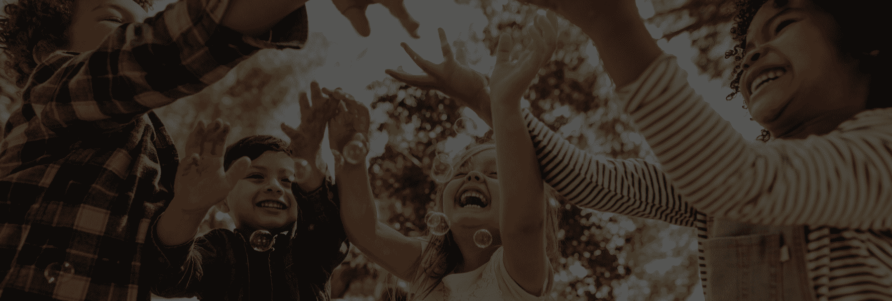 banner-img